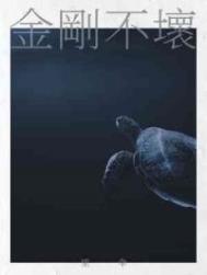۹ʱ֣3P